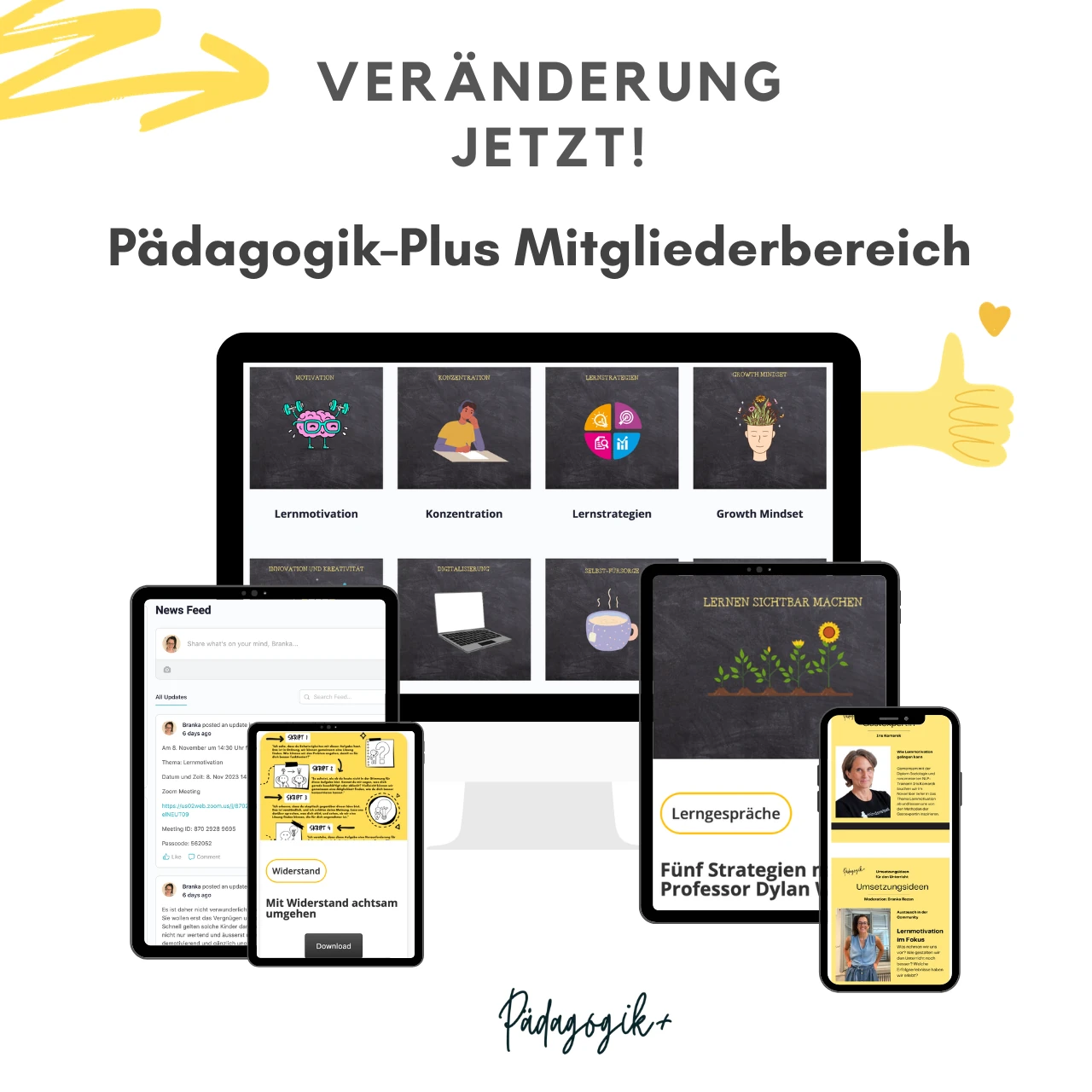member-bereich