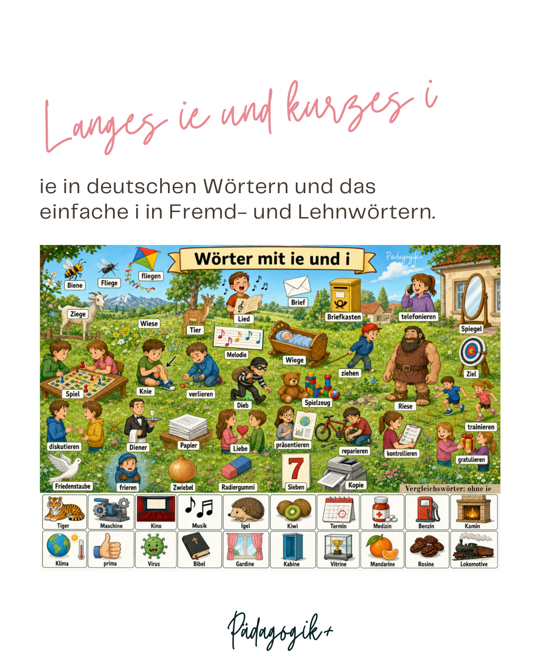Rechtschreibregeln entdecken mit Wimmelbildern – Bild 4